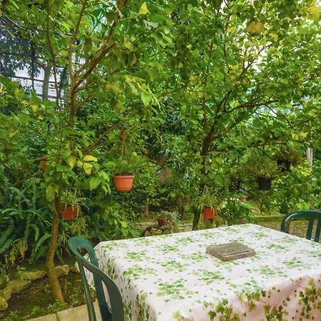 Vakantiehuis Comfortable House With Sea View In *